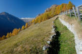 20091030_111941 Sentiero presso l'Alpe Cermine.jpg